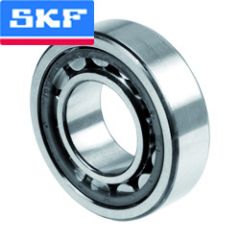 Zylinder-Rola-SKF.jpg